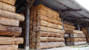 Process of Curing Wood