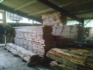 Curing Wood