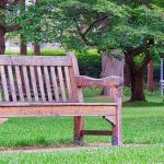 Garden Bench from Thermally Modified Ash