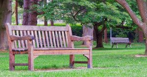 Garden Bench from Thermally Modified Ash