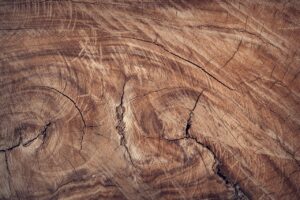 Types of Wood for Woodworking